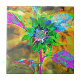 Ouro verde para girassol abstrato