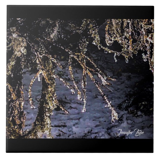 Ouros da Floresta (Frente)