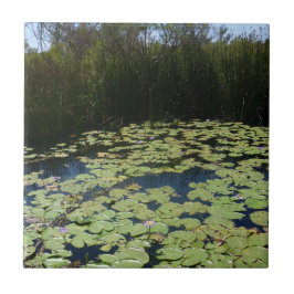 Outback Lily Pads Azulejo Cerâmico