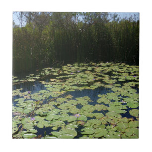 Outdoors Lily Pads Azulejo cerâmico