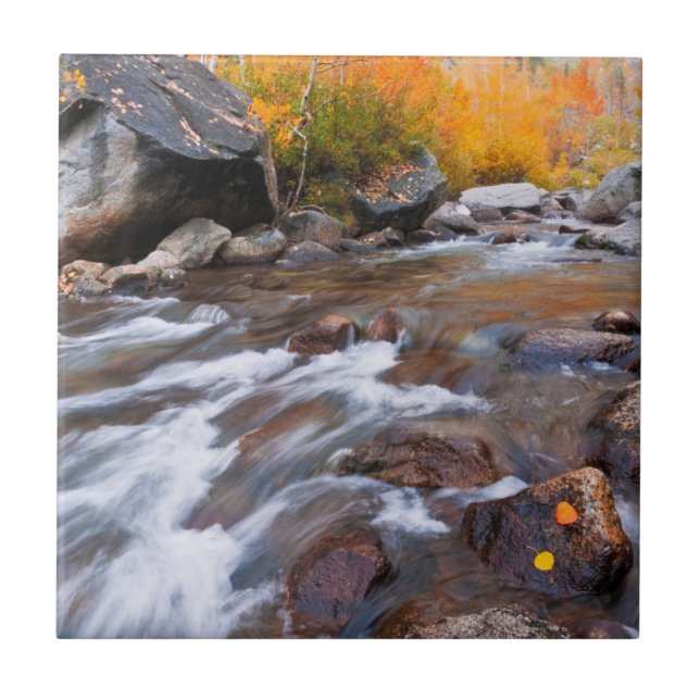 Outono ao longo de Bishop Creek, CA (Frente)