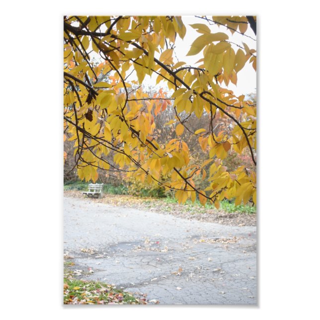 Outono em Nova Iorque Riverside Park Foto NYC (Frente)