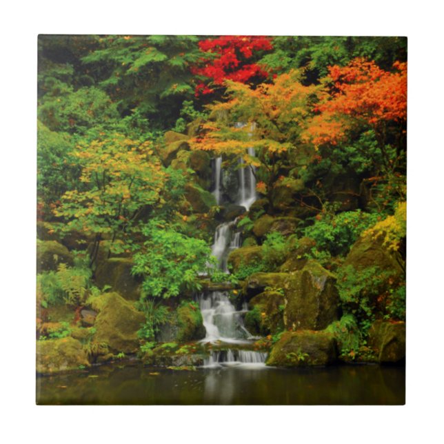 Outono, Heavenly Falls (Frente)