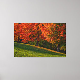 Outono Na Galeria De Nova Inglaterra - Canvas De Q