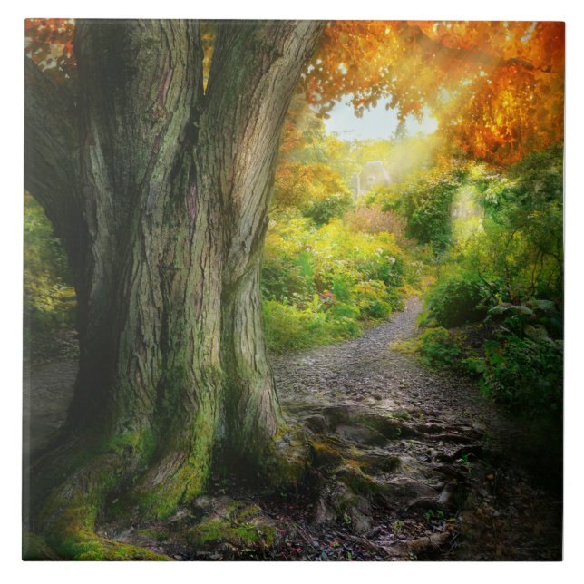 Outono - O caminho para a casa dos granigos (Frente)