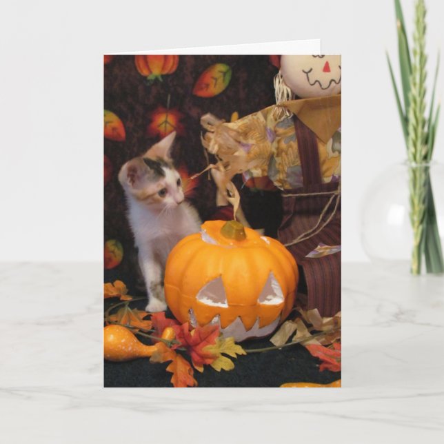 Outono - O Cartão de Saudação de Kitten Halloween (Frente)