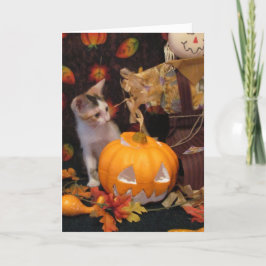 Outono - O Cartão de Saudação de Kitten Halloween