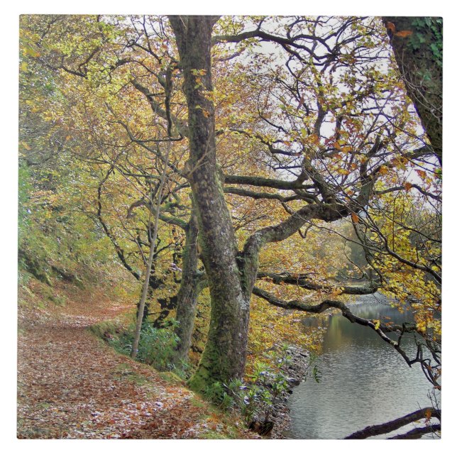 OUTONO PELO LAGO (Frente)