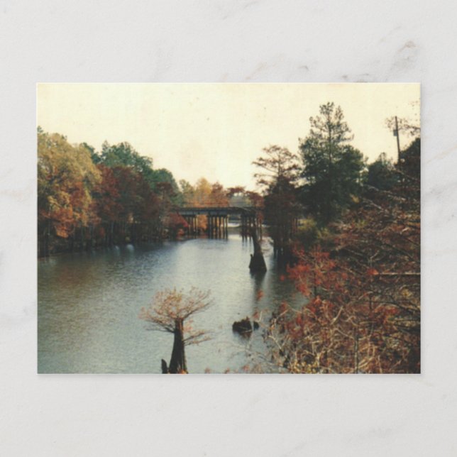 Outono sobre a água - Cartão postal (Frente)