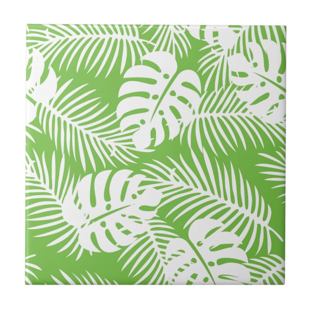 outono tropical, padrões de folhas de verão (Frente)