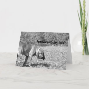 Outro Aniversário? Cartão de Aniversário do Cã