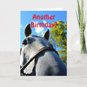 Outro Aniversário? Cartão de Saudação Funny Horse