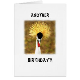 Outro Aniversário? Cartão para Cidadão Idoso