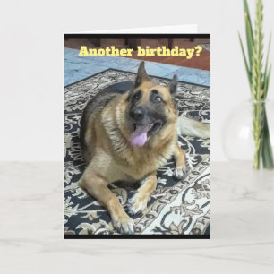 Outro Cartão de Saudação de German shepherd de 