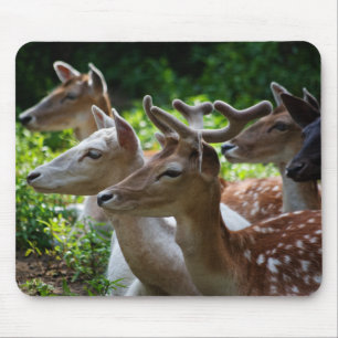 Ouvi Mousepad