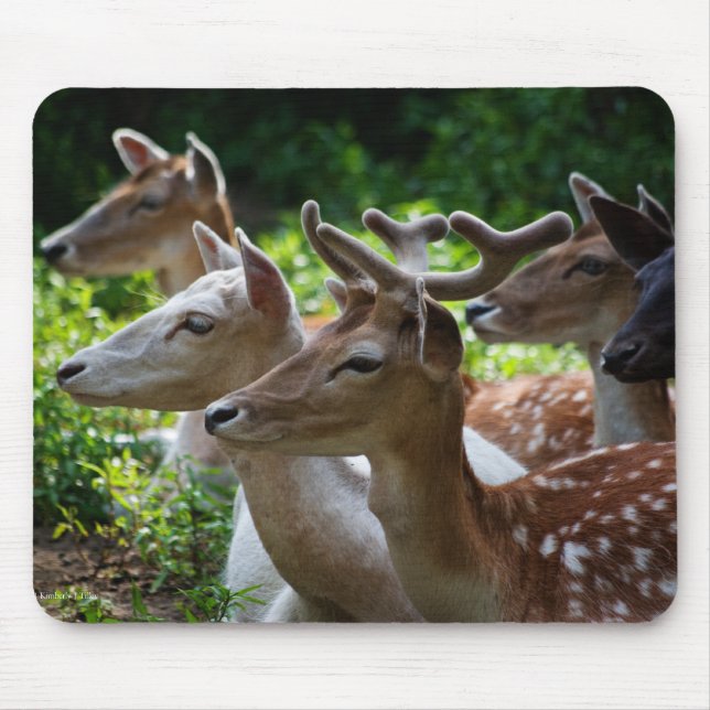 Ouvi Mousepad (Frente)