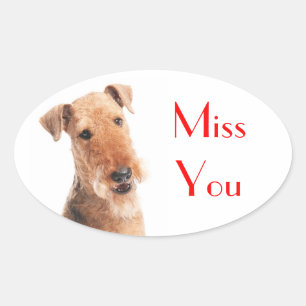 Oval Adesivo de Cachorro Filhote Airedale Terrier Sinto
