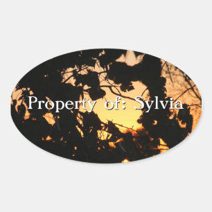 Oval Adesivo de folhas solares