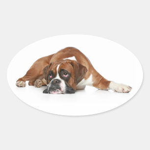 Oval Adesivo de Saudação de Cachorro Boxer Filhote Amor