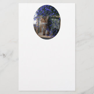 Oval de Gato de Flor