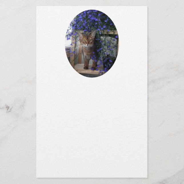 Oval de Gato de Flor (Frente)