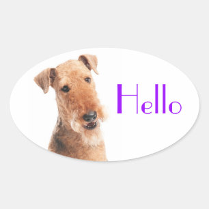 Oval Olá / Oi Cachorro Filhote Airedale Adesivo / Eti