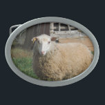 Ovelha branca na Fazenda<br><div class="desc">Jovem Ovelha Branca na Fazenda. Foto de Sandy Closs "ovina lover", ovelha, carneiro, carneiro, carneiro, "animais de fazenda" "chá de fraldas" "natal" "páscoa" "cristão" "quarto de bebê"</div>