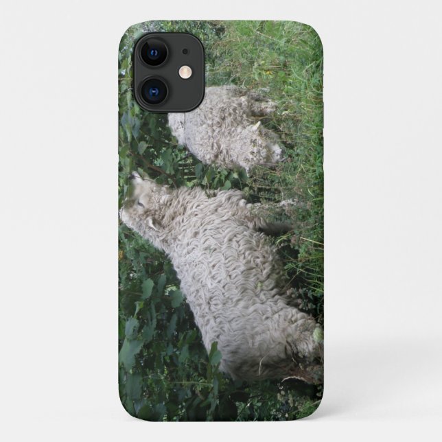 Ovelhas Bonitas Comem Folhas de capas de iphone (Verso)