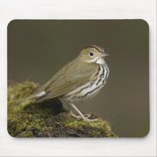 Ovenbird Mousepad