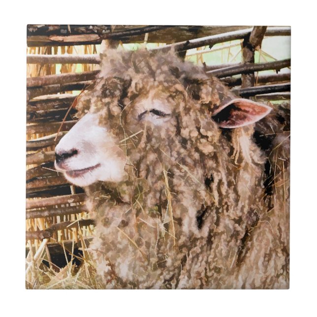 OVINO DE BOVINO (Frente)