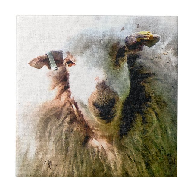 OVINO DE BOVINO (Frente)