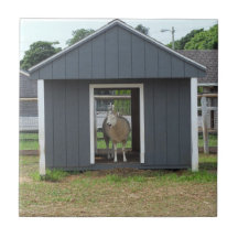 Ovinos no Azulejo BarnHouse