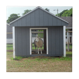 Ovinos no Azulejo BarnHouse