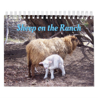 Ovinos No Calendário Ranch