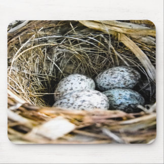 Ovo cardinal Mousepad