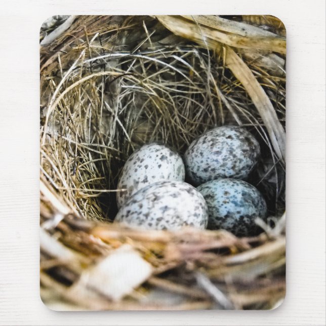 Ovo cardinal Mousepad (Frente)