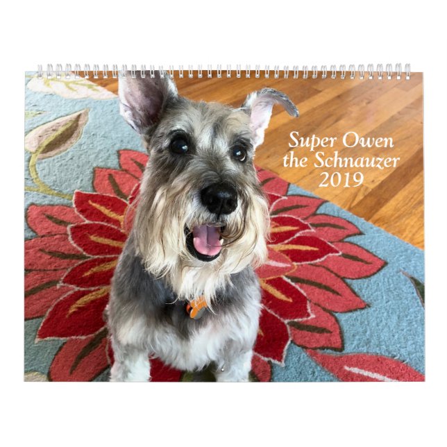 Owen super o calendário do Schnauzer 2019 (Capa)