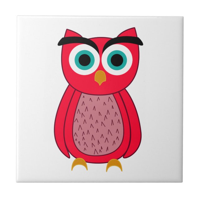 Owl   (Frente)