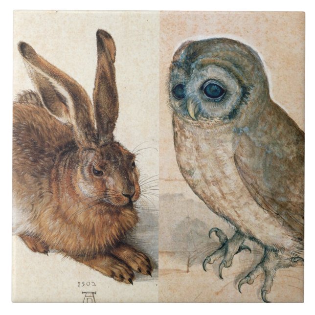 OWL and RABBIT ( Young Hare ) apresentada por Albr (Frente)