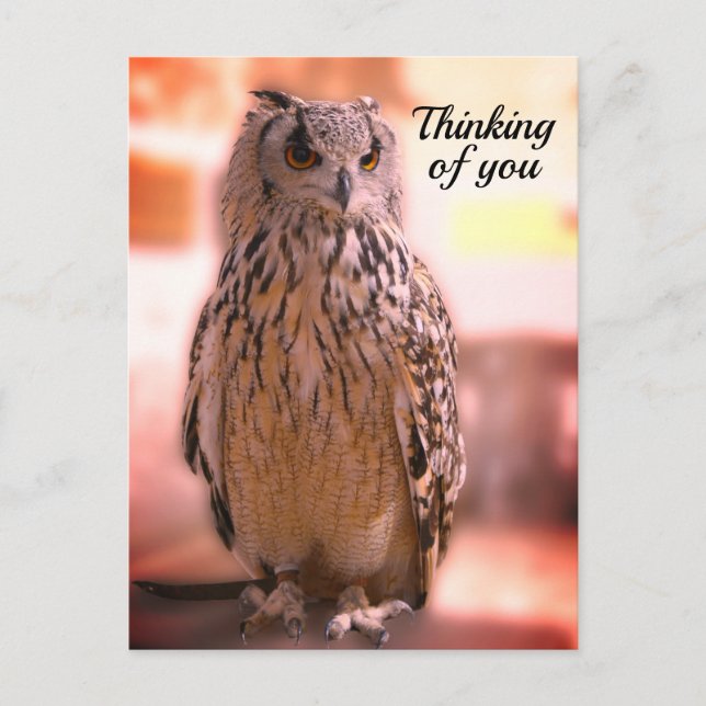 Owl Experience Somerset Pensando em você Cartão Po (Frente)