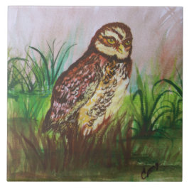 Owl in nature watercolor art