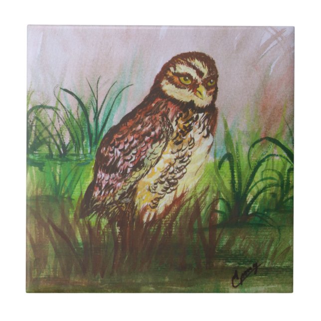 Owl in nature watercolor art (Frente)