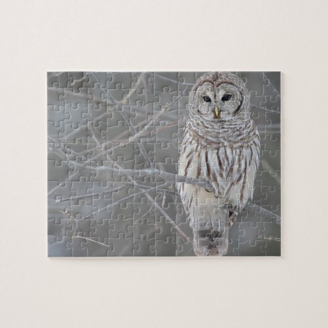Owl Quebra-cabeça (Horizontal)