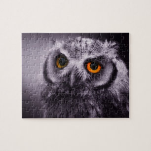 Owl Quebra-cabeça