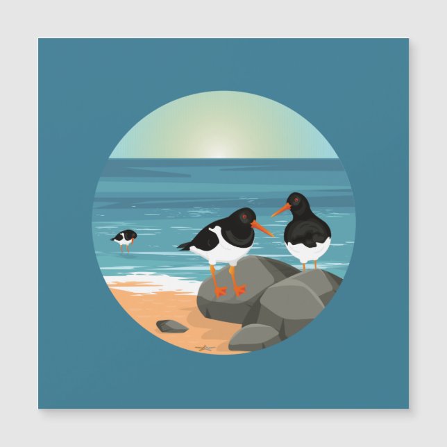 Oystercatcher na costa (Frente)