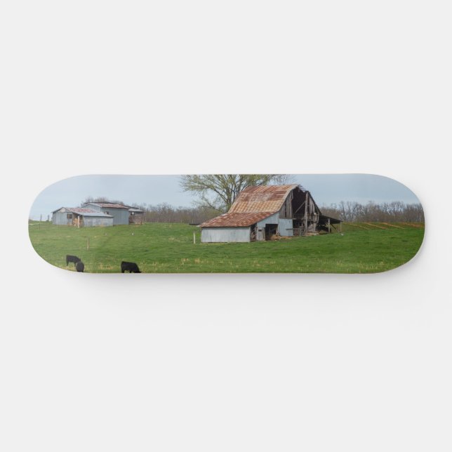 Ozark Old Fazenda skate (Horz)