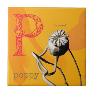 P é para Poppy
