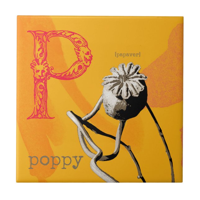 P é para Poppy (Frente)