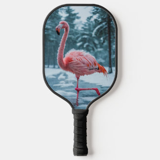 Pá-bola-de-coleira Flamingo