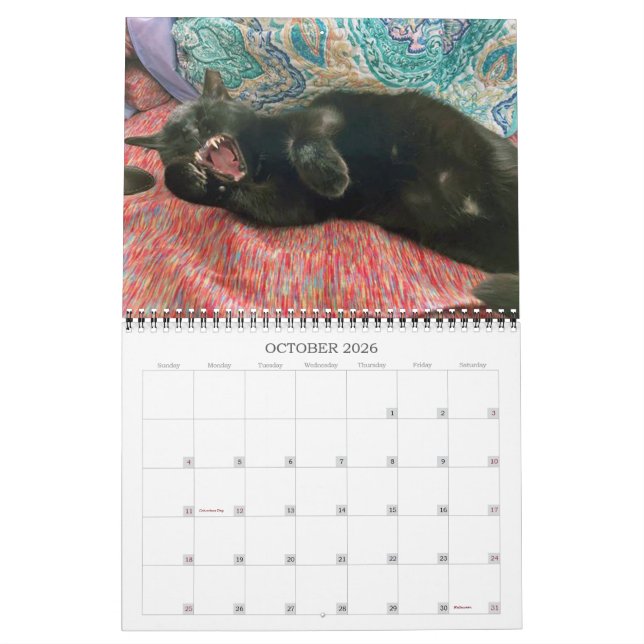 PA Paws 2 anos Calendário 2023-2024 (Out 2026)